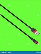 Image result for USB B to Lightning Cable