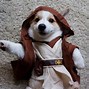 Image result for Star Wars Dog Meme