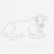 Image result for Baby Cow Drawing