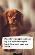 Image result for Short Quotes Funny Thoughts