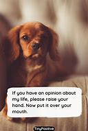 Image result for Short Funny Cute Life Quotes