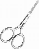 Image result for Blunt Nose Scissors