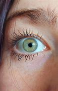 Image result for Green eYes