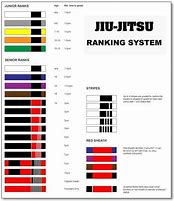 Image result for Highest Jiu Jitsu Belt