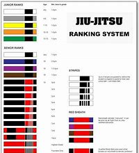 Image result for Belts in Brazilian Jiu Jitsu