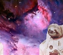 Image result for Sloth Dual Screen Wallpaper