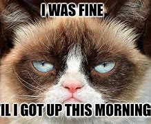 Image result for Grumpy Cat Morning Meme