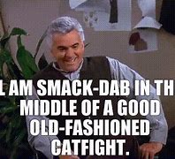Image result for Kramer Cat Fight Meme