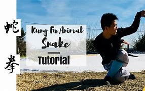 Image result for Snake Style Kung Fu