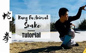 Image result for Shaolin Kung Fu Snake Style Bassic