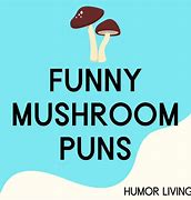 Image result for Mushroom Jokes