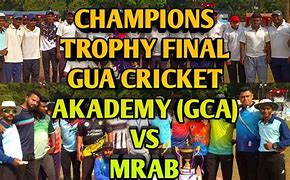 Image result for USA Gua Cricket