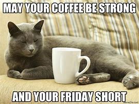 Image result for Happy Hour Cat Meme