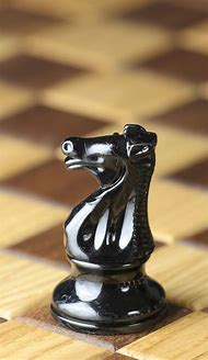 Image result for Black Knight Chess Piece