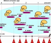 Image result for Timeline of Mankind