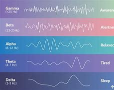Image result for Gamma Brain Waves