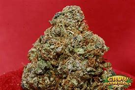 Image result for Fire OG Grow Jornal