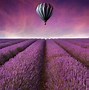 Image result for Beautiful Pink Flower Field Wallpapers