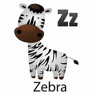 Image result for Z Zebra