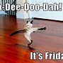 Image result for Funny Friday Cats