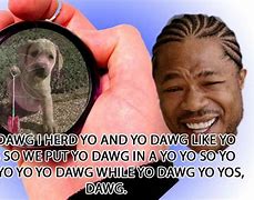 Image result for Dawg Meme Face