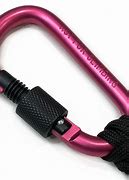 Image result for Pink Carabiner Keychain