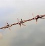 Image result for Different Types of Barbed Wire