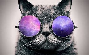 Image result for Cool Galaxy Cat