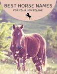 Image result for Beautiful Horse Names