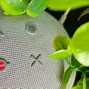 Image result for Echo Dot 4th Generation Clock Holder