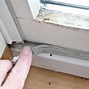 Image result for How to Store Live Crickets