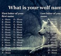 Image result for Wolf Name Moon Moon
