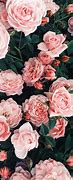 Image result for 2736X1824 Wallpaper Pink Roses