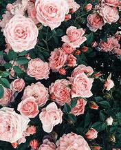Image result for 1080X1920 Wallpapers Pink Flowers