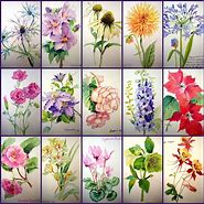 Image result for Adelene Fletcher Large Watercolor