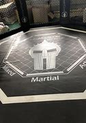 Image result for MMA Cage Logo