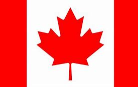 Image result for Canadian Pepe