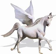 Image result for Fabulous Unicorn