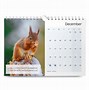 Image result for A3 Size Calendar Backgroung