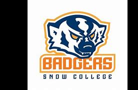 Image result for Snow College Football