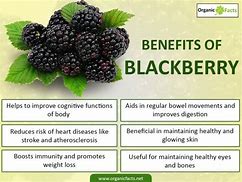 Image result for Blackberries Health Benefits