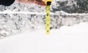 Image result for Eight Inches of Snow