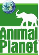 Image result for Animal Planet Old Logo