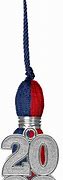 Image result for Florida Memory Tassel