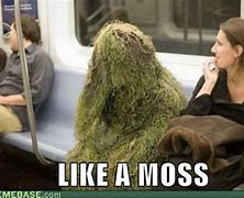 Image result for Moss-Covered Memes