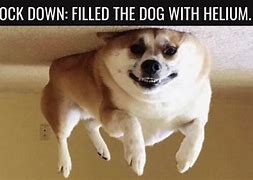 Image result for Wholesome Memes Covid