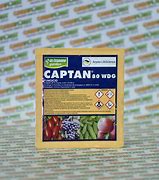 Image result for 5 Lb Bag of Captan 80