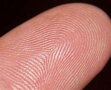Image result for iPhone XS Fingerprint