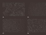 Image result for Grainy Texture for Photoshop