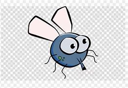Image result for Fly Basic Cartoon Cute